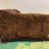 Chocolate Cheesecake - Image 3